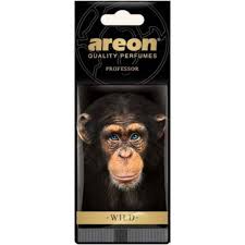 AREON DRY WILD PROFESSOR